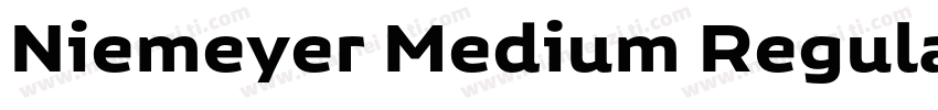 Niemeyer Medium Regular字体转换